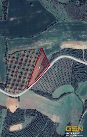 19-ÇANAKKALE BİGA KEMERDE EŞSİZ DENİZ MANZARALI ASFALT CEPHELİ ARAZİ